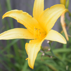 Meet your Posher, Mackenzie